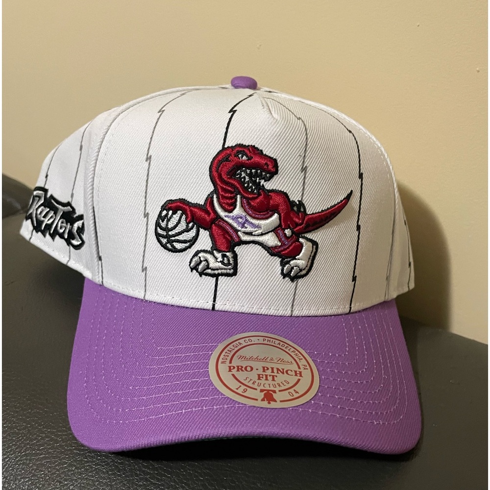 Raptors Mitchell & Ness Purple and White